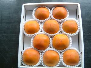 9\ x22x ԋۏ ` a̎R VH` 󂠂 2L 10 2.2kg Yn  ӂ邳Ɣ[ ł͂܂ SSS