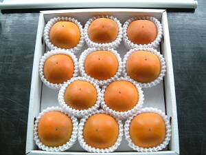 2026年9月分予約 糖度22度 返金保証 和歌山 柿 新秋柿 L 11玉 約2kg 化粧箱 贈答用 産地直送 ※ ふるさと納税 ではありません SSS