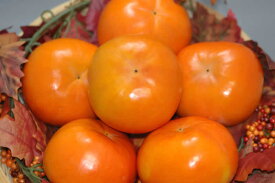 2024年11月分予約 和歌山 九度山産 富有柿 大玉 秀品 約1.8kg 2L～3L 6～8個入 S10