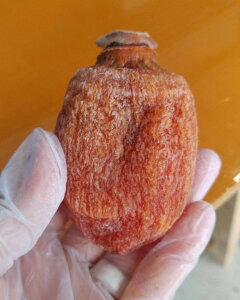 ySzԋz_ xR Y ` 10`20 ` Ε Mtg 󂠂 xR   ӂ邳Ɣ[ ł͂܂ NN