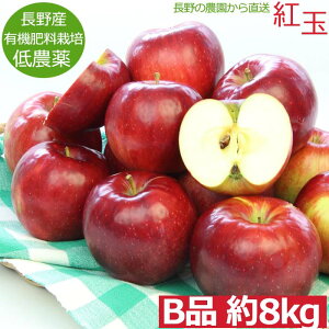 【全額返金】減農薬 長野 生食用 紅玉 りんご B品 約8kg 小玉24?50個入 リンゴ 林檎 産地直送 小山 SSS※ ふるさと納税 ではありません