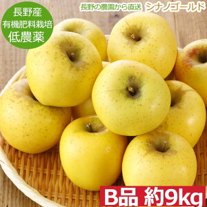 ySzԋz_  VimS[h  Bi 9kg 16?50 S ь Yn R  ӂ邳Ɣ[ ł͂܂ SSS