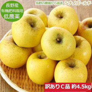 ySzԋz󂠂 _   VimS[h  4.5kg 8?25 Ci S ь Yn R  ӂ邳Ɣ[ ł͂܂ SSS