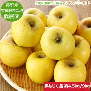 ySzԋz󂠂 _   VimS[h  4.5`9kg 8`50 Ci S ь Yn R SSS ӂ邳Ɣ[ ł͂܂