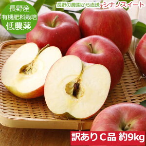 ySzԋz_ VimXC[g  󂠂 9kg 16?50 Ci Y S ь Yn R  ӂ邳Ɣ[ ł͂܂ SSS