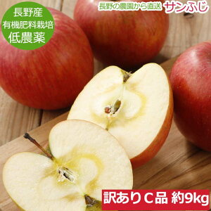 ySzԋz12\ _ Tӂ  󂠂 9kg Ci 24?50  S ь ӂ TtW R Yn ӂ邳Ɣ[ ł͂܂ Ε SSS