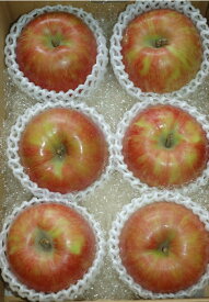 サンつがる 特選品質 約2kg 大玉6玉入 りんご リンゴ 林檎 S10
