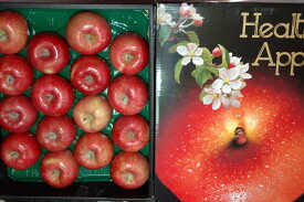 11月分予約 サンふじ りんご 贈答用 特選品質 約5kg 大玉13～16個 化粧箱入 リンゴ 林檎 さんふじ サンフジ S10