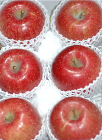 11月分予約 サンふじ りんご 贈答用 特選品質 約2kg 大玉6個前後入 リンゴ 林檎 さんふじ サンフジ S10