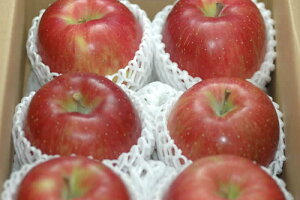 2026N10\ Y  VimXC[g Gi 2kg`10kg S ь SSS  ӂ邳Ɣ[ ł͂܂