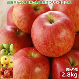 全額返金保証 減農薬 早生品種 訳あり サンりんご 2.8kg シナノリップ サンつがる ブラムリー・シードリンク シナノドルチェ SSS