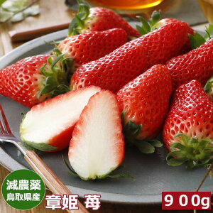 2026N\ _ 挧Y ͕P   p 嗱 450g`900g ϔ Yn SSS  ӂ邳Ɣ[ ł͂܂