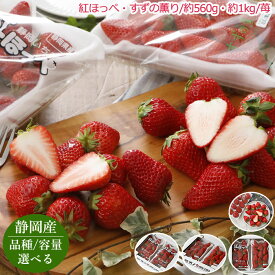 2027年3月分予約 減静岡産 紅ほっぺ すずの薫り 苺 いちご 560〜1kg 品種・容量選べる 産地直送※ ふるさと納税 ではありません SU