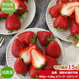 【30%OFFクーポン】減農薬 いちご 古都華 ならあかり 奈乃華 480g～4.8kg 2パック～10パック入 イチゴ 苺 ギフト 奈良 ことか なのか 産地直送 SU ※ ふるさと納税 ではありません