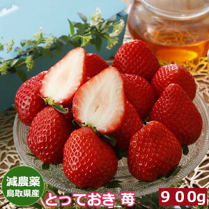 2026N\ _ 挧Y ƂĂ   p 嗱30`36 900g ϔ Yn ͕P Ђ SSS  ӂ邳Ɣ[ ł͂܂