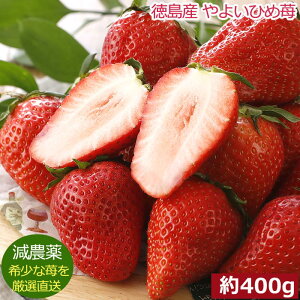 2026N\ _ Y ڂ/悢Ђ   p 嗱12`18 400g ϔ Yn SSS  ӂ邳Ɣ[ ł͂܂