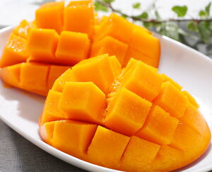 ���_�� �}���S�[ 1kg 2�`3�ʓ� �����p ���� �Y�n���� ������ �M�t�g ���n ���n�}���S�[