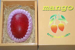 2026N4\ {}S[  3L1ʉϔ { Mtg }S[ {茧 n n}S[  ӂ邳Ɣ[ ł͂܂ S10