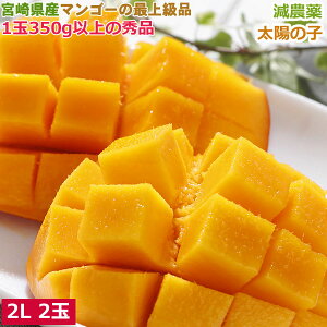 ���_�� �}���S�[ ���z�̎q 2L 2�� ��700g ���ϔ��� �����p �M�t�g �{�� �Y�n���� SU �{��}���S�[ ���n �� ���z�̃^�}�S �ł͂���܂���