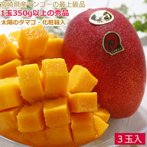 2026N5\ ySzԋz }S[ z̃^}S {}S[ { 2L 3 1kg ϔ ẑ܂ Mtg {茧 n n}S[ ̓ ̓  ӂ邳Ɣ[ ł͂܂ 