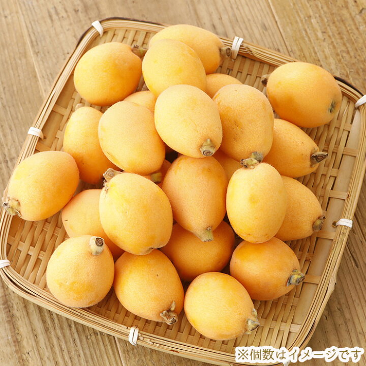 楽天市場】2025年5月分予約 減農薬 長崎産 茂木 びわ 約1kg 訳あり L 