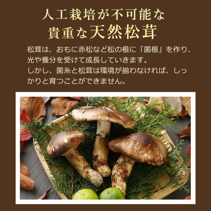 楽天市場】10月分予約 【全額返金】松茸 ひらき 1kg 前後 まつたけ 