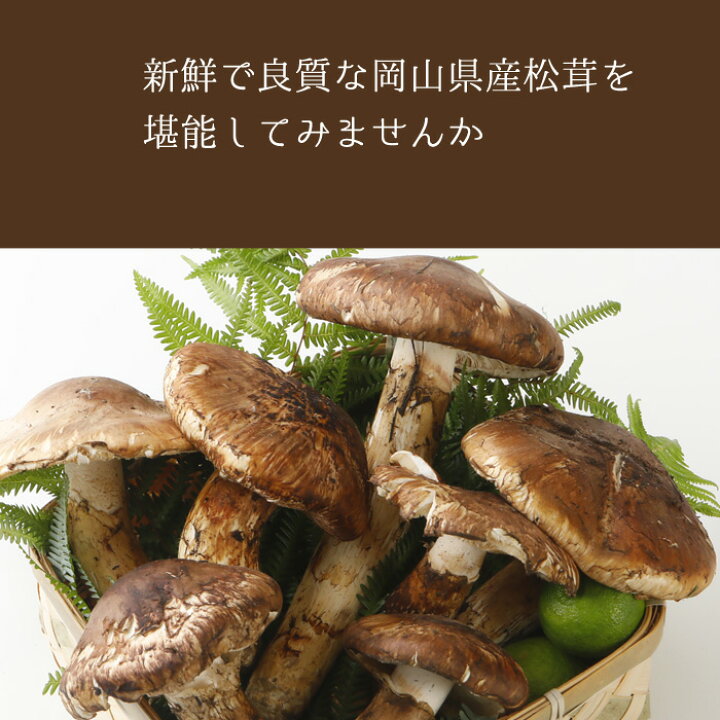 楽天市場】10月分予約 【全額返金】国産 松茸 ひらき 約700g 3〜10本 