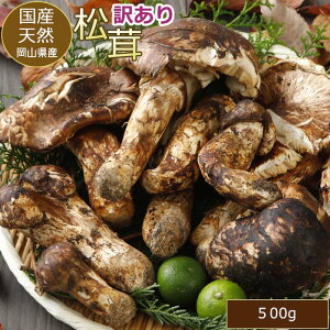 ySzԋz10\  500g O R Y R ܂ 󂠂 }c^P Ԍ Gߌ Yn  H R̍K ̂ LmR  yr   Y  okayama