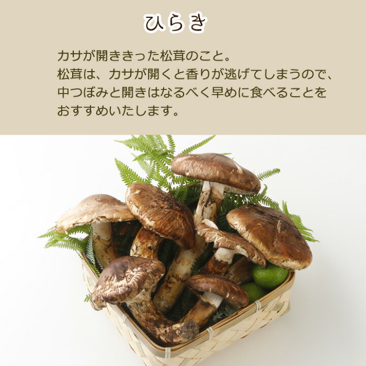 楽天市場】10月分予約 【全額返金】訳あり 国産 松茸 300g 〜 1kg 前後 