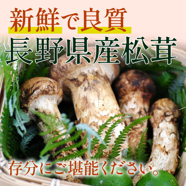 楽天市場】2025年分予約 松茸 国産 中つぼみ(半開き) 約300g～1kg 