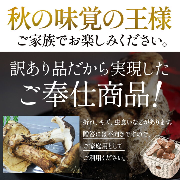 楽天市場】訳あり 国産 松茸 500g前後 まつたけ マツタケ 岩手 SSS 