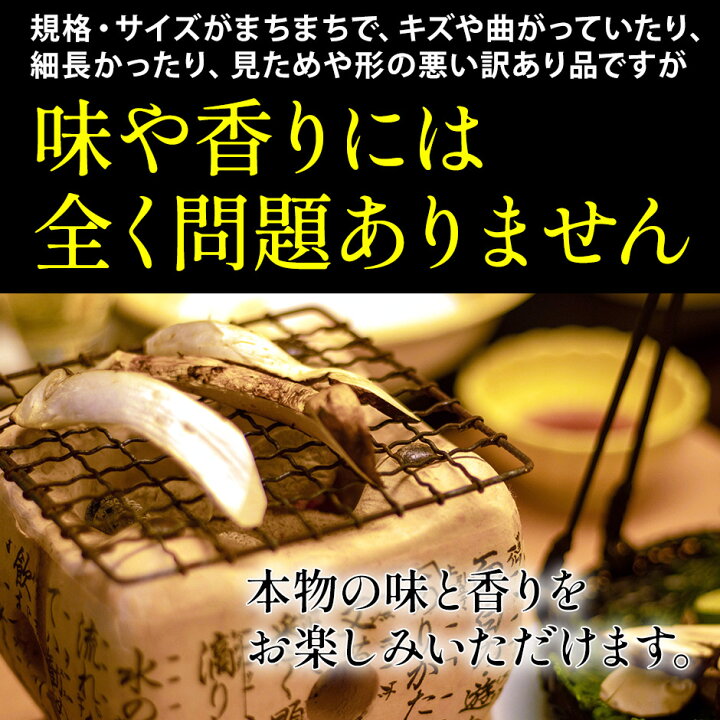 楽天市場】2025年分予約 訳あり 国産 松茸 500g前後 まつたけ マツタケ 