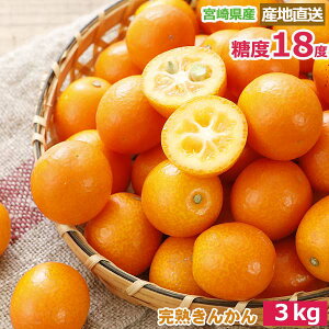 2026N1\ ōx18x _ {Y n 񂩂  1kg`3kg LTCY p Yn k  Y t[c Mtg j ʕ j  ̓ ̓ hV̓ Ε 