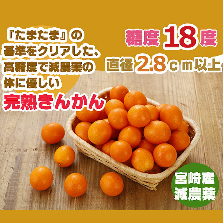 楽天市場】最高糖度18度 減農薬 宮崎産 完熟 きんかん 金柑 1kg〜3kg L 