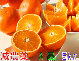 12月分予約 減農薬 紅まどんな と同品種 みかん あいか 約5kg A品 贈答 サイズ混合 愛媛 産地直送 大三島 お歳暮 ※ ふるさと納税 ではありません
