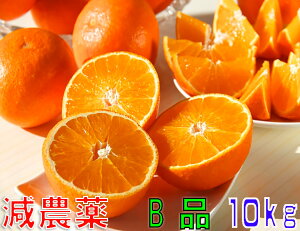 みかん 送料無料 10kg みかんの人気商品 通販 価格比較 価格 Com