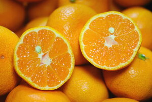 12月分予約 減農薬 訳あり はれひめ 愛媛 約 10kg サイズ混合みかん 愛媛みかん 産地直送 お歳暮 ※ ふるさと納税 ではありません