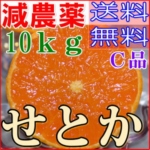 2026N3\ 󂠂 _ Q Ƃ ݂ 3`10kg Ci TCY Yn O  ӂ邳Ɣ[ ł͂܂
