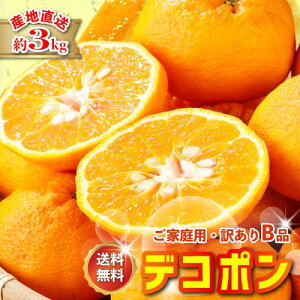 2027�N3�����\�� �ō����x15�x �󂠂� ���Q ���_�� �f�R�|�� ��3kg B�i �T�C�Y���� �Y�n���� ��O�� �ł��ۂ� NN �� �ӂ邳�Ɣ[�� �ł͂���܂���
