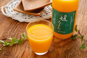 減農薬 愛媛 みかん 100% ジュース 1000ml 『媛ろまん』 無添加 果汁100% SSS ※ ふるさと納税 ではありません