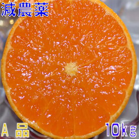 2026年3月分予約 減農薬 愛媛 せとか みかん 約10kg 贈答用 サイズ混合 産地直送 大三島 NN ※ ふるさと納税 ではありません
