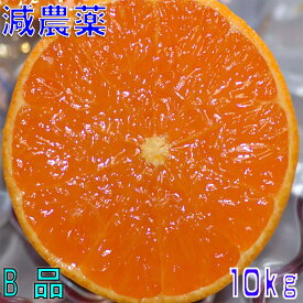 訳あり 減農薬 愛媛 せとか みかん 約10kg B品 サイズ混合 産地直送 大三島 NN