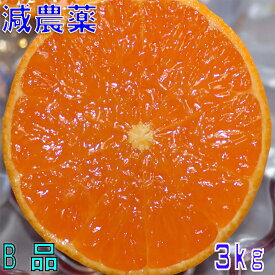 訳あり 減農薬 愛媛 せとか みかん 約3kg B品 サイズ混合 産地直送 大三島 NN