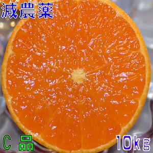 2026N3\ 󂠂 _ Q Ƃ ݂ 10kg Ci TCY Yn O  ӂ邳Ɣ[ ł͂܂