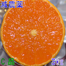 訳あり 減農薬 愛媛 せとか みかん 約3kg C品 サイズ混合 産地直送 大三島 NN