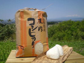 新米 産地直送 全額返金保証 山形産 コシヒカリ 白米/玄米 5kg こしひかり 庄内米 S10 3h