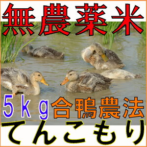 ySzԋz F{Y _ Ă񂱂 2`5kg  V _ eR 5L 2L L@͔|  _@ NN  ӂ邳Ɣ[ ł͂܂