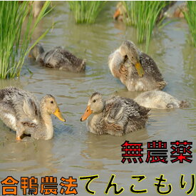 【全額返金】 熊本産 無農薬 てんこもり 2〜5kg 白米 新米 無農薬米 テンコモリ 5キロ 2キロ 有機栽培米 合鴨米 合鴨農法米 NN ※ ふるさと納税 ではありません