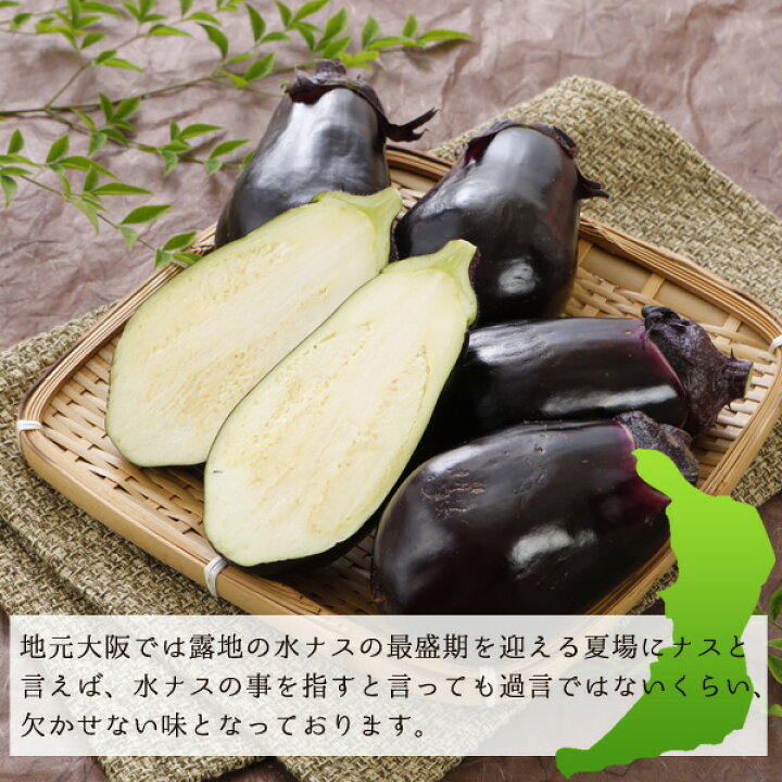 楽天市場】2025年5月分予約 泉州 生 水なす 10個 約1.5kg 贈答用 水  