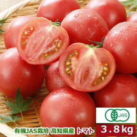 訳あり 有機JAS栽培 高知県産 トマト 3.8kg 産地直送 SSS とまと